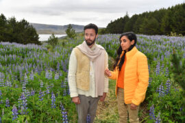 Das Traumschiff Island TV Fernsehen ZDF Streamen online Mediathek Video on Demand DVD kaufen