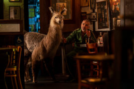 Der Psycho Coach – Mörderische Therapie Psycho Therapy: The Shallow Tale of a Writer Who Decided to Write About a Serial Killer