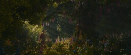 Der Wunderweltenbaum The Magic Faraway Tree