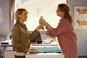 Die Maiwald Beziehungsweise Tv Fernsehen ZDF Streamen online Mediathek Video on Demand DVD kaufen