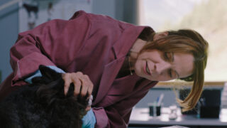 Die Maiwald Beziehungsweise Tv Fernsehen ZDF Streamen online Mediathek Video on Demand DVD kaufen