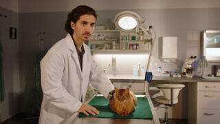 Die Maiwald Beziehungsweise Tv Fernsehen ZDF Streamen online Mediathek Video on Demand DVD kaufen