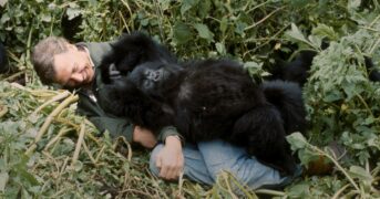 Eine Gorilla-Story erzählt von David Attenborough Netflix Streamen online Video on Demand