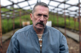 Reykjavik Fusion Tv Fernsehen arte Streamen online Mediathek Video on Demand DVD kaufen