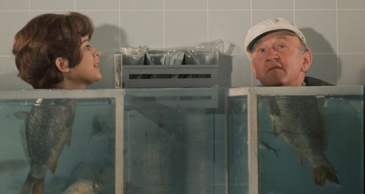 Wie soll man Dr. Mráček ertränken