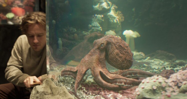Das Glück hat acht Arme Remarkably Bright Creatures Netflix Streamen online Video on Demand
