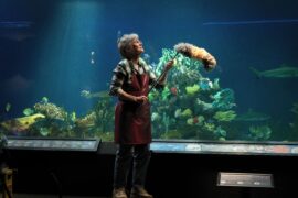 Das Glück hat acht Arme Remarkably Bright Creatures Netflix Streamen online Video on Demand