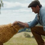 Glennkill Ein Schafskrimi The Sheep Detectives