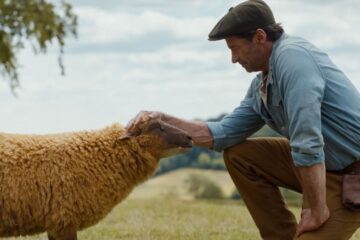 Glennkill Ein Schafskrimi The Sheep Detectives