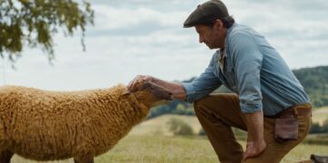 Glennkill Ein Schafskrimi The Sheep Detectives