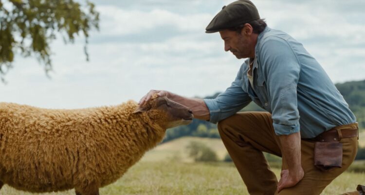 Glennkill Ein Schafskrimi The Sheep Detectives