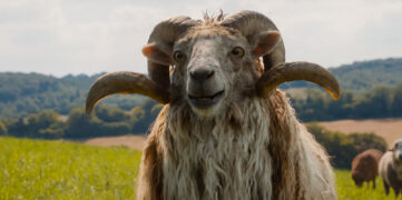 Glennkill Ein Schafskrimi The Sheep Detectives