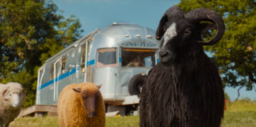 Glennkill Ein Schafskrimi The Sheep Detectives