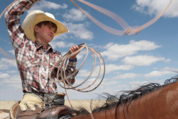 The Cowboy