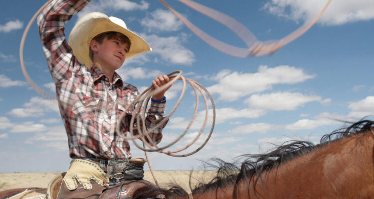 The Cowboy