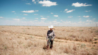 The Cowboy