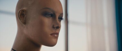The Mannequin