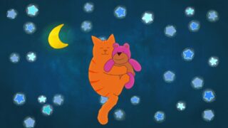 Tommy Tom und der verschwundene Teddybaer