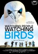 Watching People Watching Birds