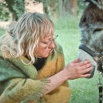 Donkey Days