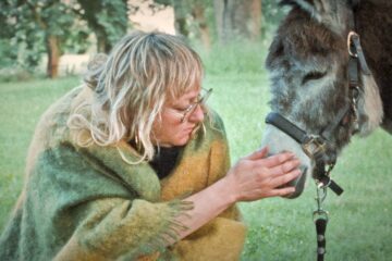 Donkey Days