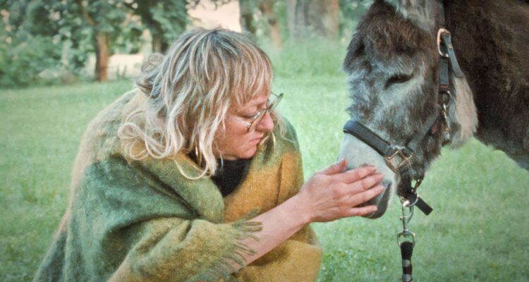 Donkey Days
