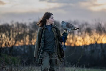 H wie Habicht H Is for Hawk
