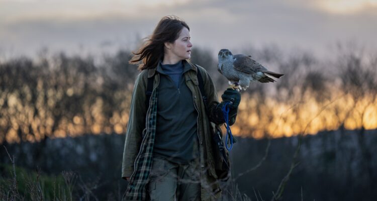 H wie Habicht H Is for Hawk