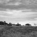 Hiddensee
