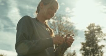 Insekten – Helden im Verborgenen