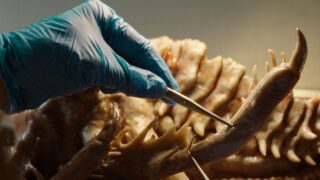 Kraken – Erwachen der Tiefe