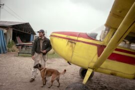 Das Ende der Sterne Dog Stars