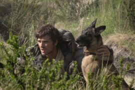 Das Ende der Sterne Dog Stars