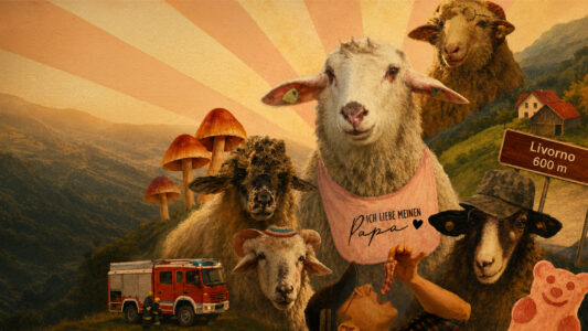 SHEEP TV Fernsehen ZDF Streamen online Mediathek Video on Demand DVD kaufen
