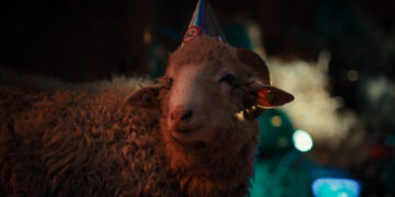 SHEEP TV Fernsehen ZDF Streamen online Mediathek Video on Demand DVD kaufen