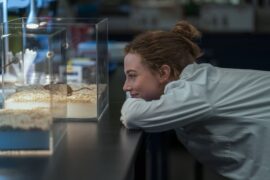 Die theoretische Unwahrscheinlichkeit von Liebe The Love Hypothesis Amazon Prime Video Streamen online Video on Demand
