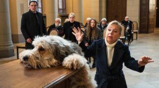 Einspruch Schatz Hundeliebe Tv Fernsehen Das Erste ARD Streamen online Mediathek Video on Demand DVD kaufen