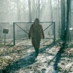 Im Schatten der Wälder Cette femme-là Tv Fernsehen arte Streamen online Mediathek Video on Demand DVD kaufen