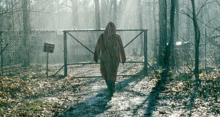 Im Schatten der Wälder Cette femme-là Tv Fernsehen arte Streamen online Mediathek Video on Demand DVD kaufen