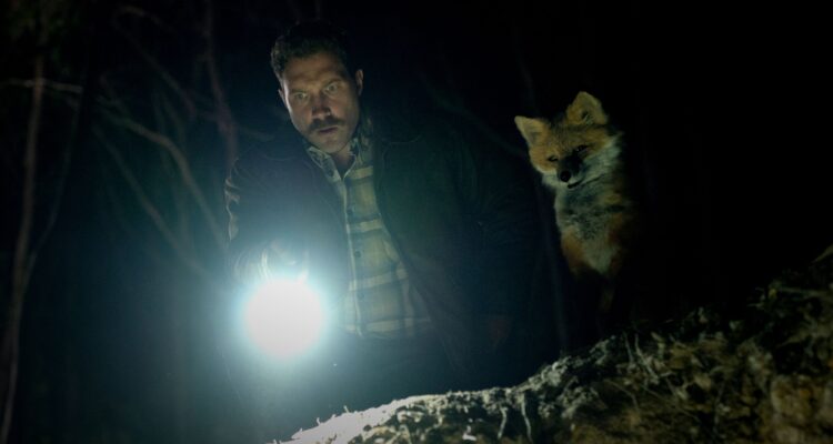The Fox