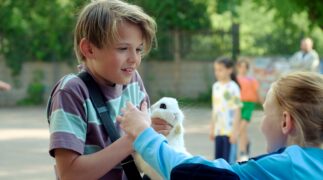 Einspruch, Schatz! Rosenkrieg Tv Fernsehen Das Erste ARD Streamen online Mediathek Video on Demand DVD kaufen