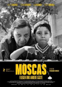 Moscas